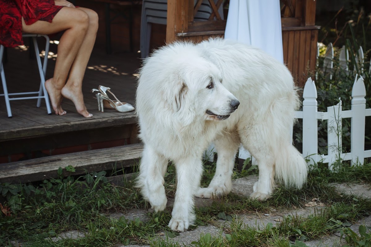Оксана и Денис