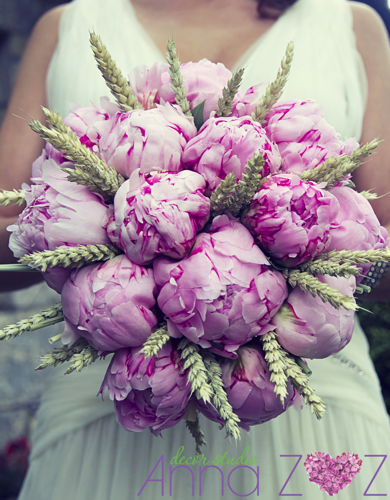 Anna Zoz Decor Studio