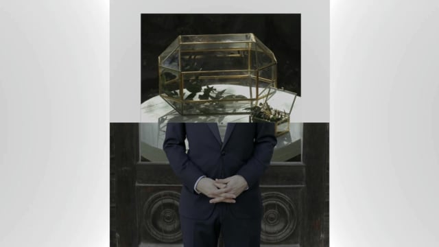 Видео