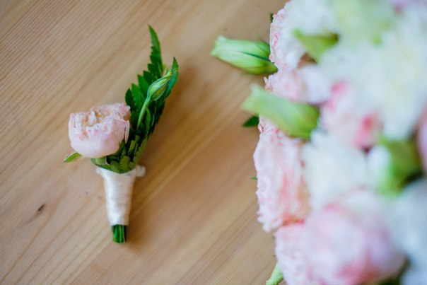 Фотографии