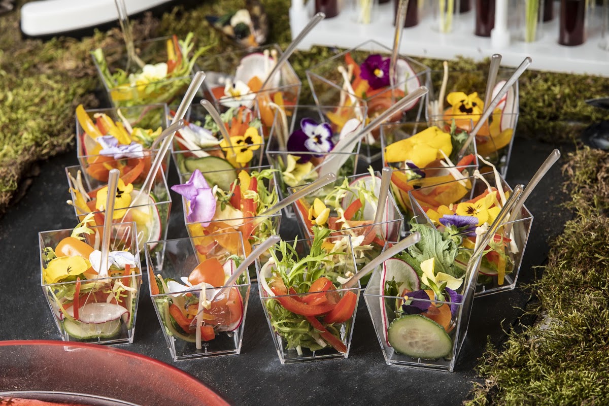 E-Catering — кадр 3 из 20