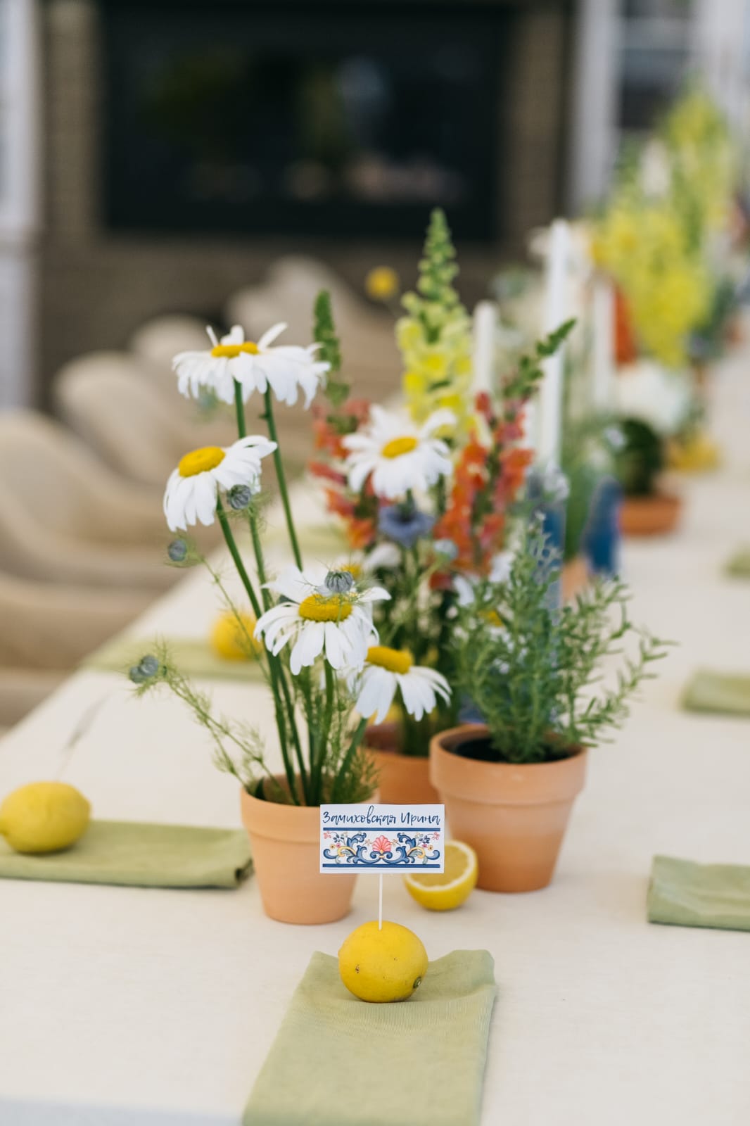 Garden Glass