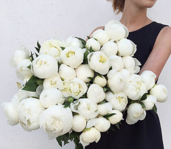 Flowerslovers