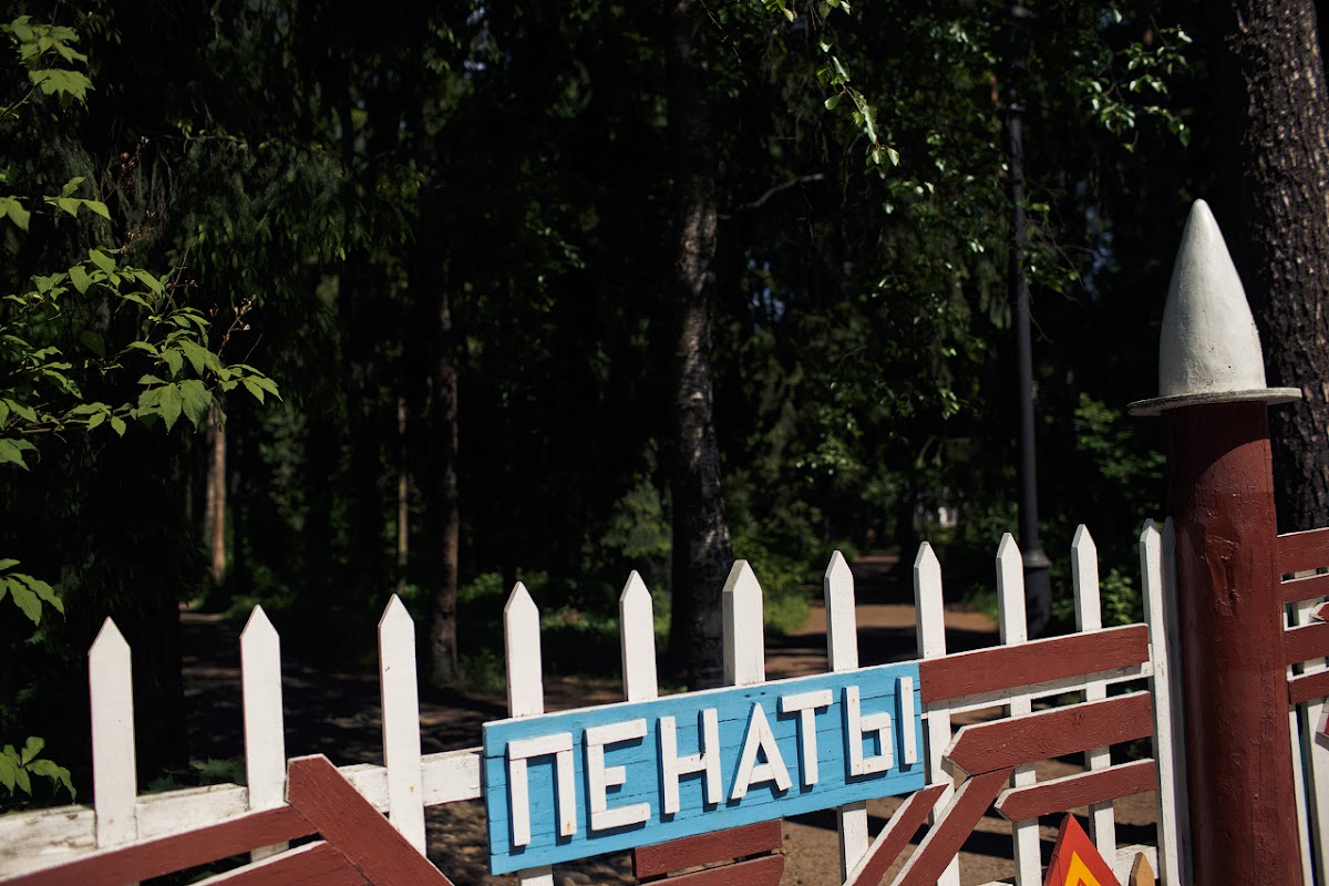 Свадебный отчёт