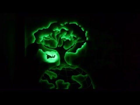 Наше видео светового шоу!