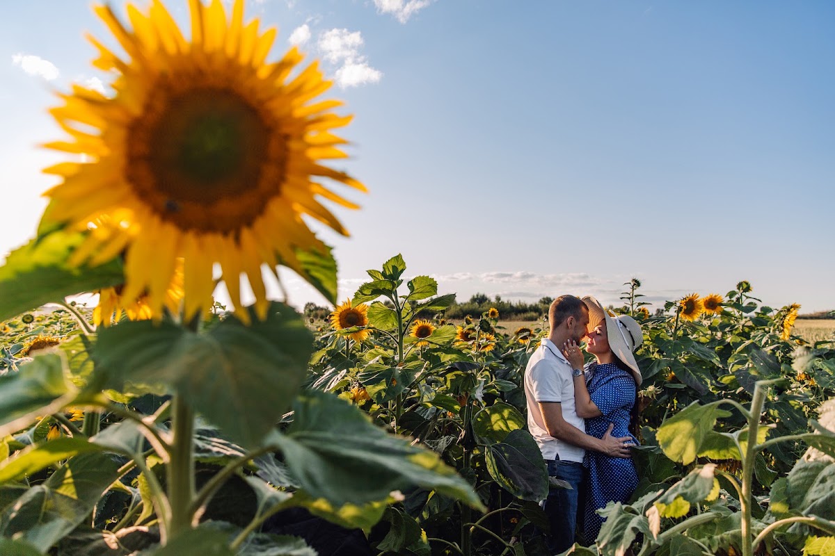 Портфолио: Love story