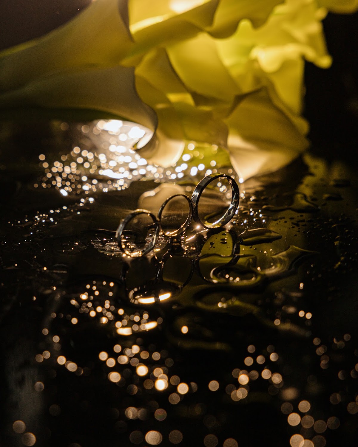 Кадр 77 из 200