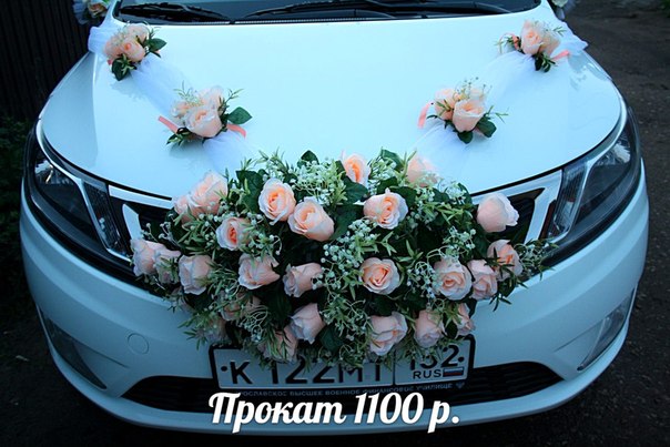 Кадр 124 из 196