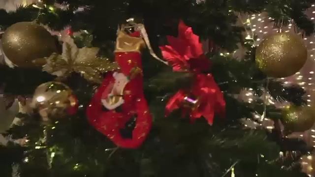 Видео
