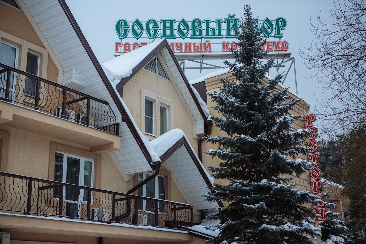Светлана и Илья 27.01.17 фото Лёля Скаргас