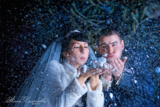 Портфолио: Свадьба