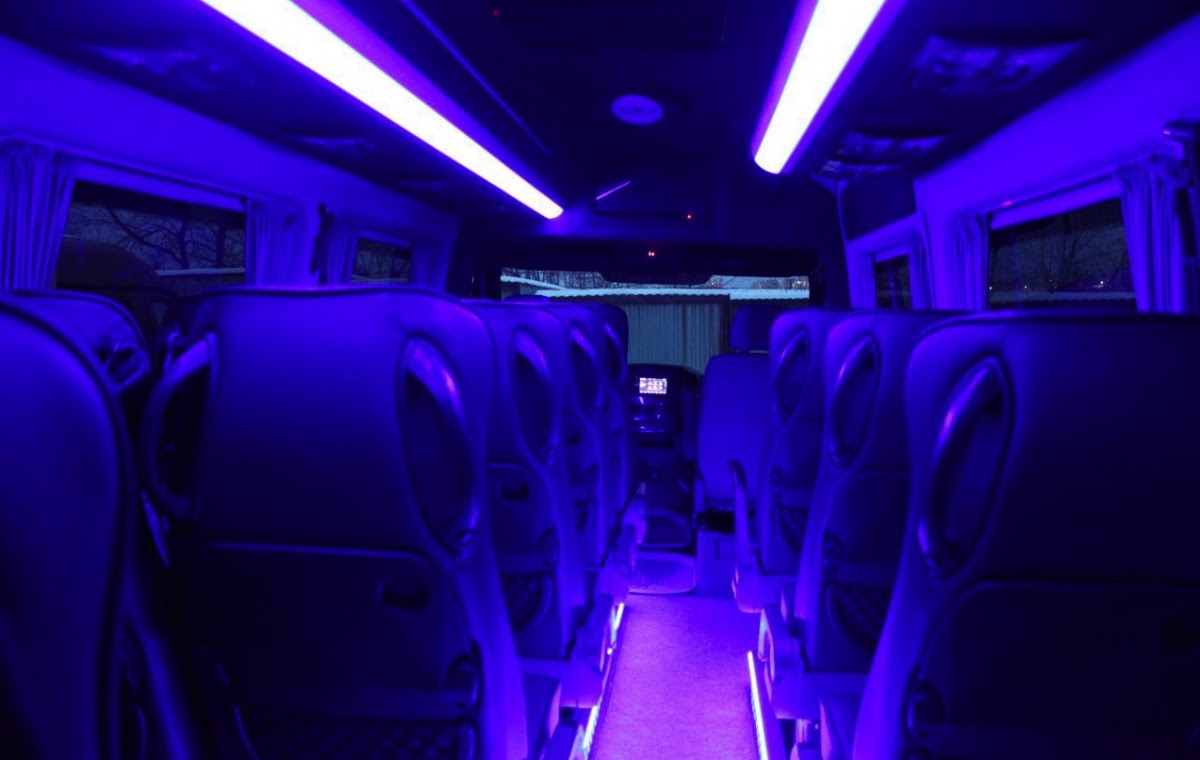 Mercedes-Benz Sprinter VIP — кадр 3 из 5