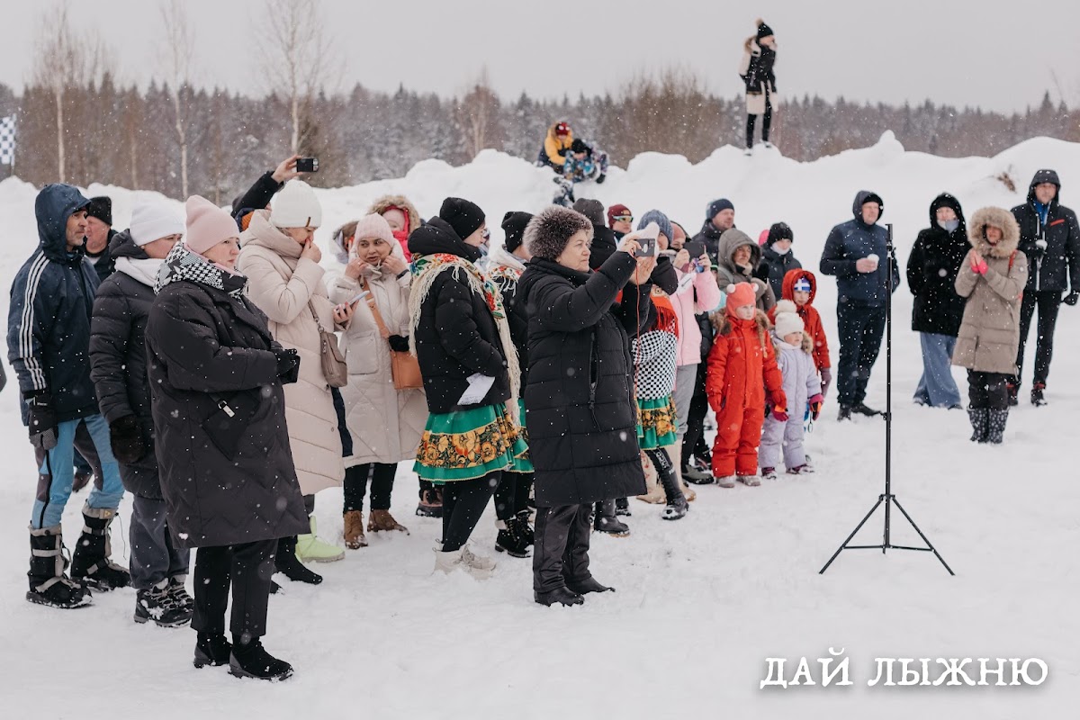 Организация и проведение фестиваля