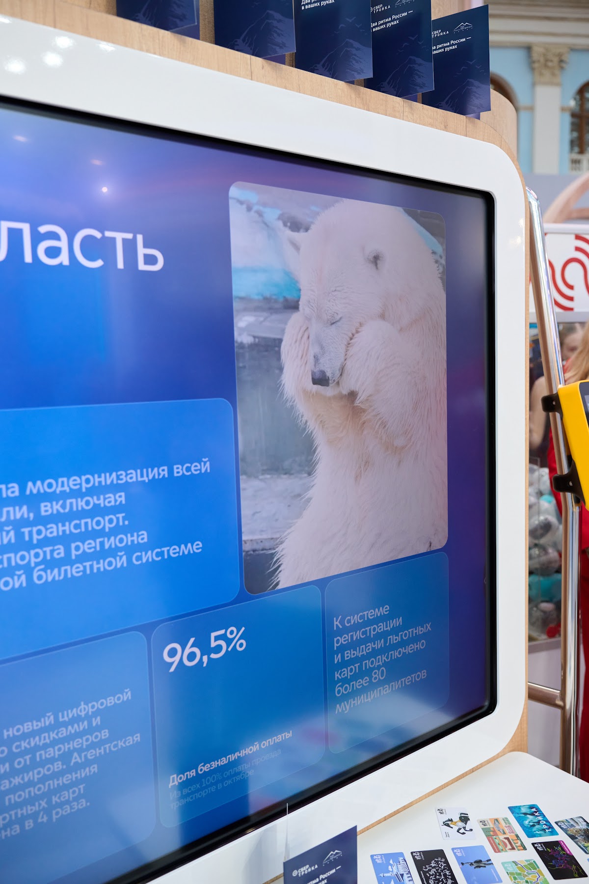 Кадр 133 из 200