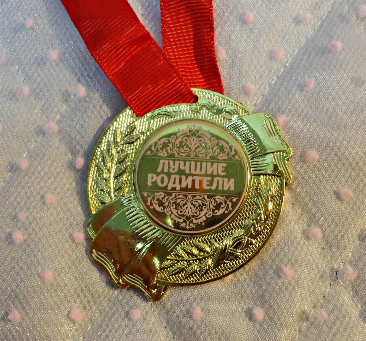 Портфолио