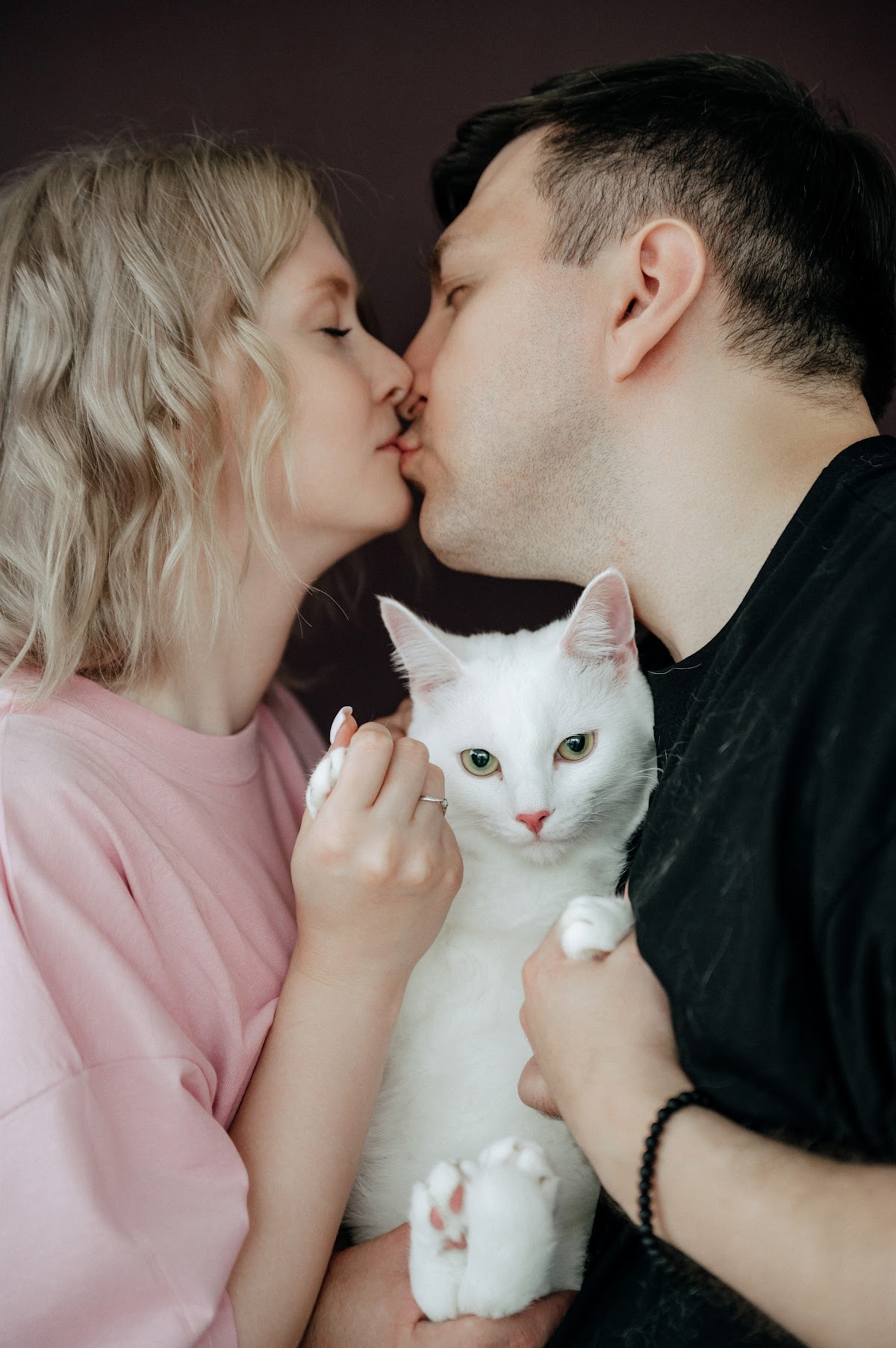 Love story с котами