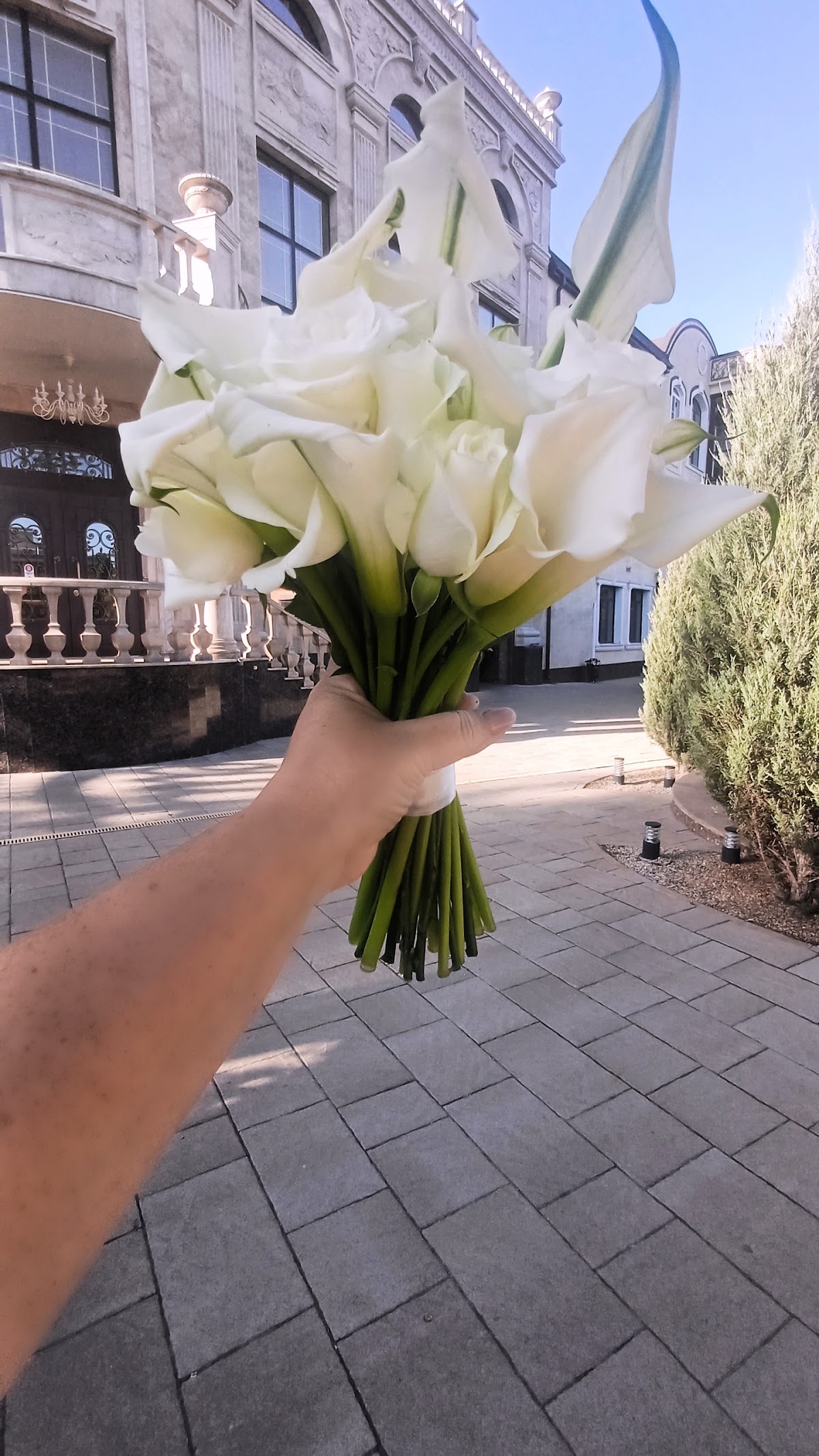 Diamond Wedding — кадр 4 из 199