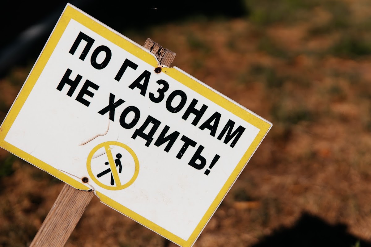 Свадебный отчёт