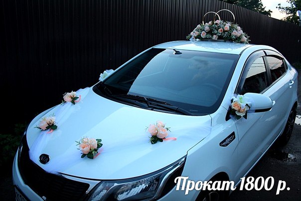 Кадр 125 из 196