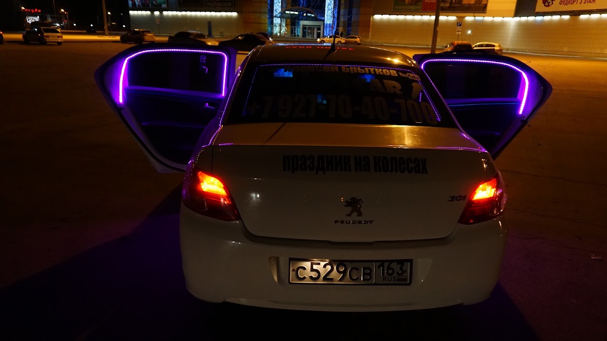 peugeot 301