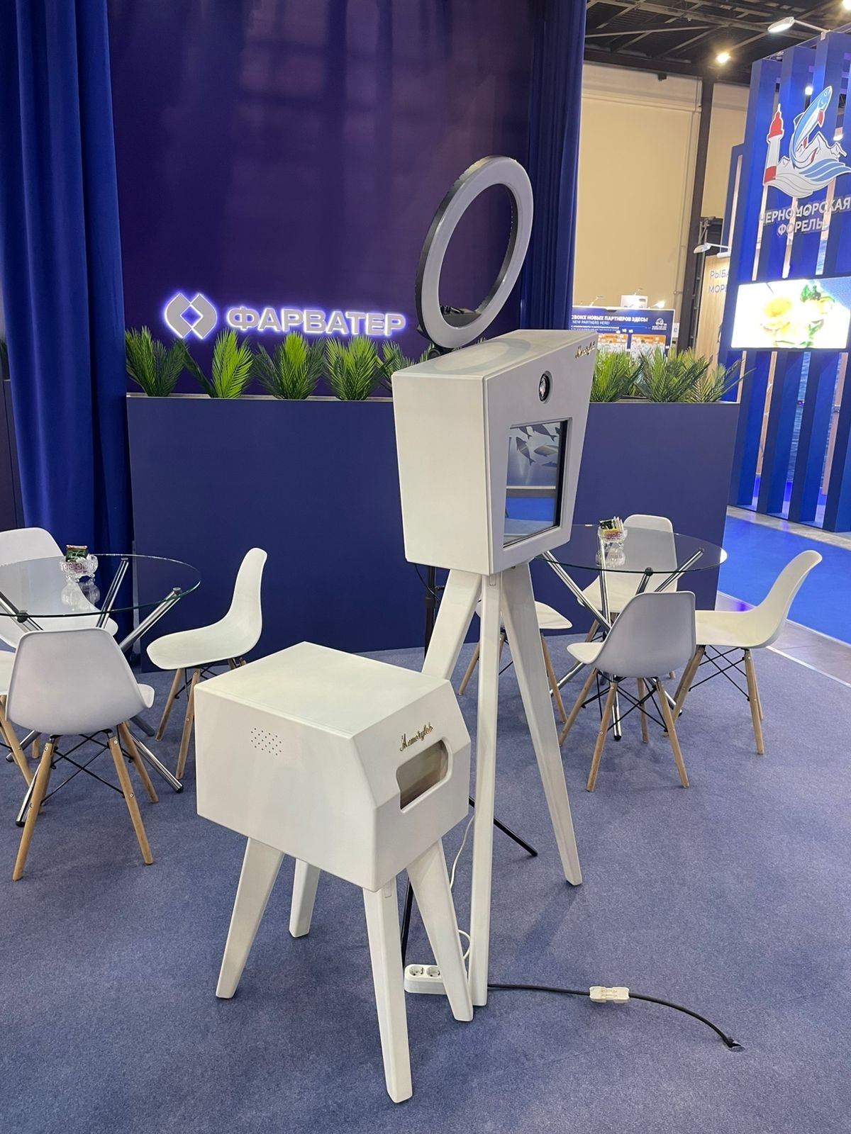 Портфолио