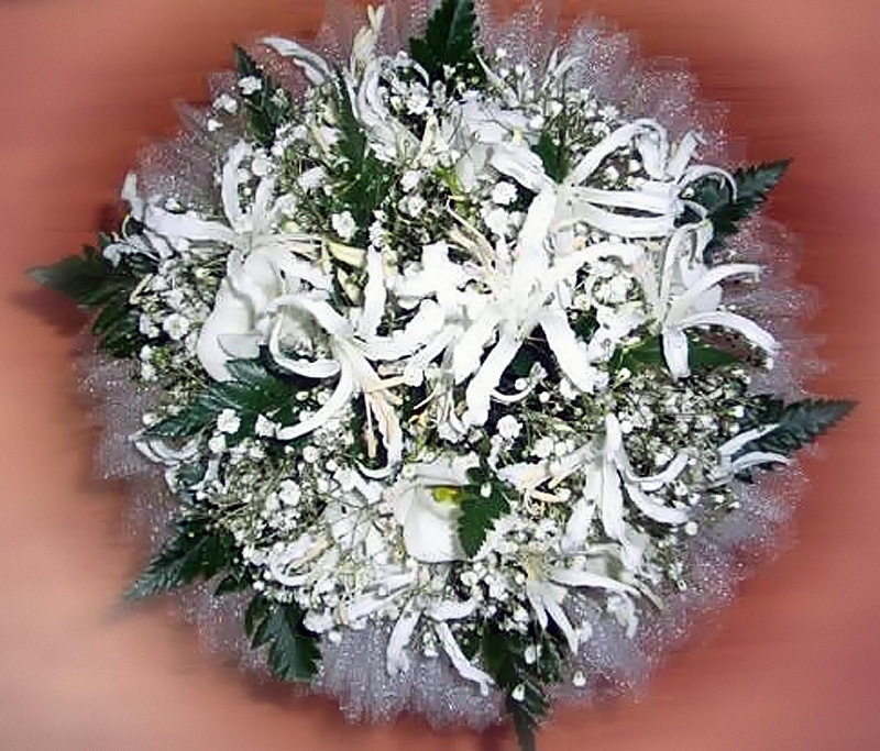 Кадр 17 из 20