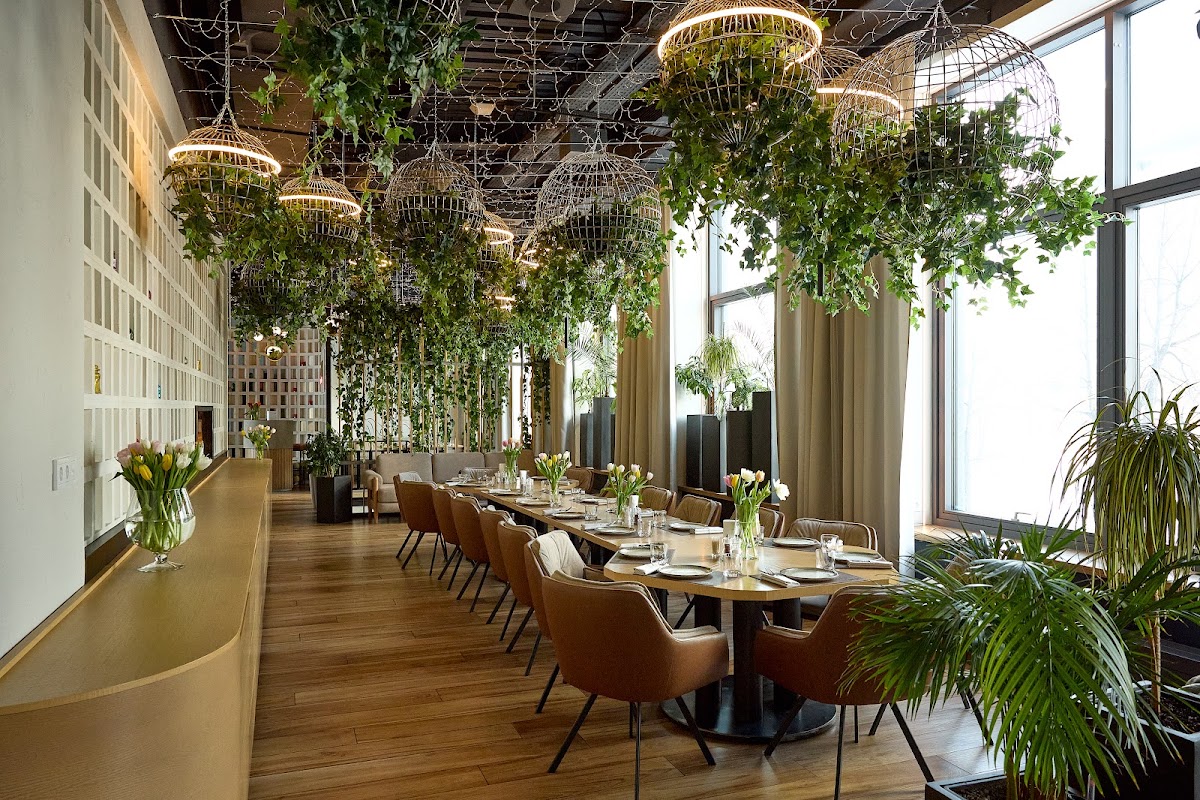 Ресторан «Корова A More»