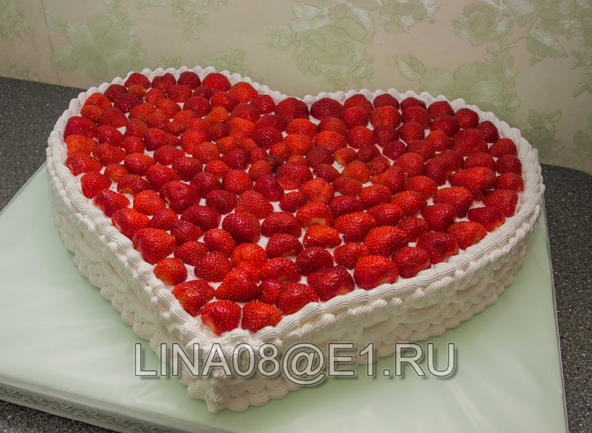 Портфолио