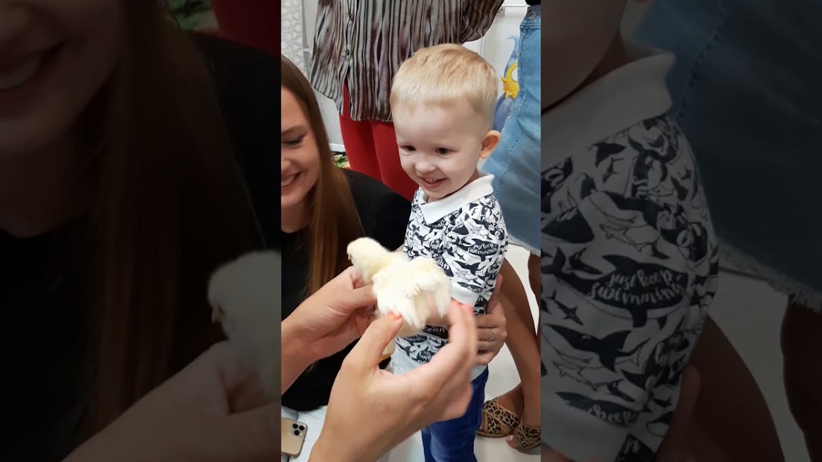 Детский театр «Марисолька»