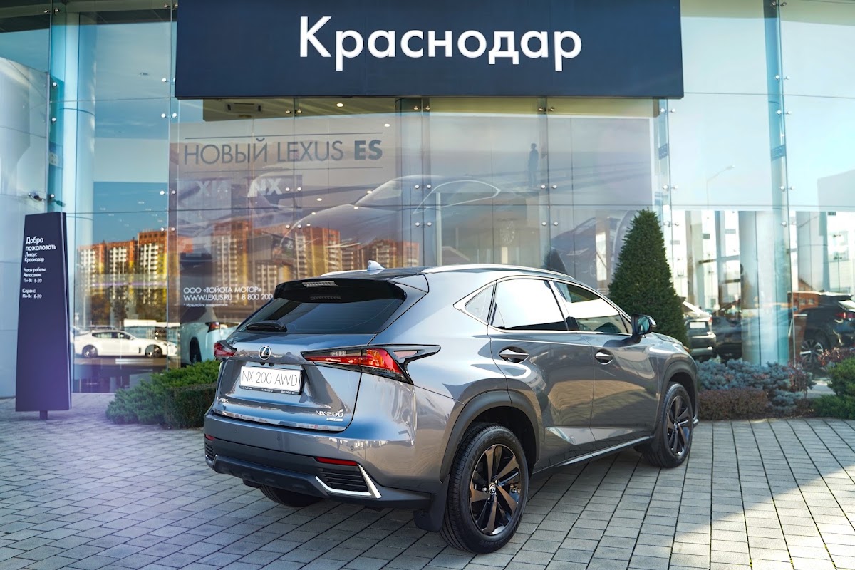Портфолио: Предметы