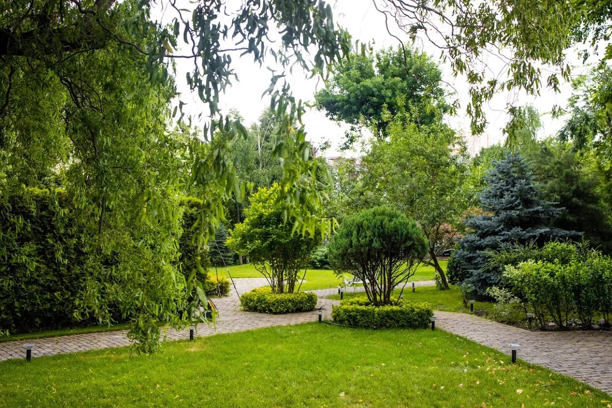 Фотогалерея ресторана