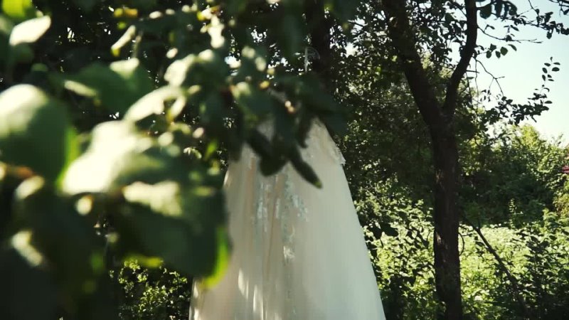 Портфолио: Свадьба