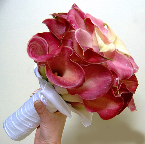Absolut Flora — кадр 3 из 16