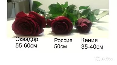 Букет невесты