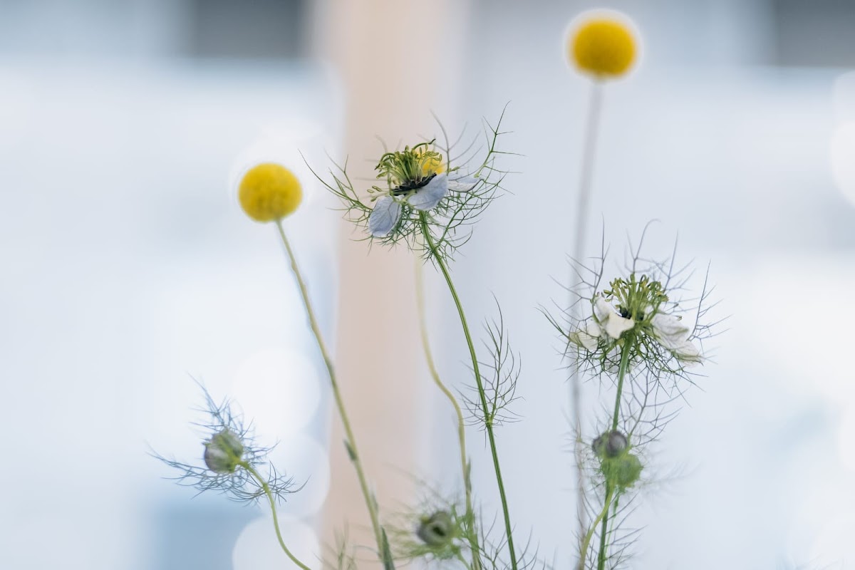Garden Glass