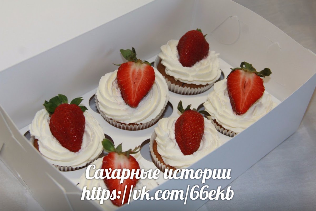 Портфолио
