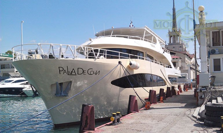 Palma De Sochi