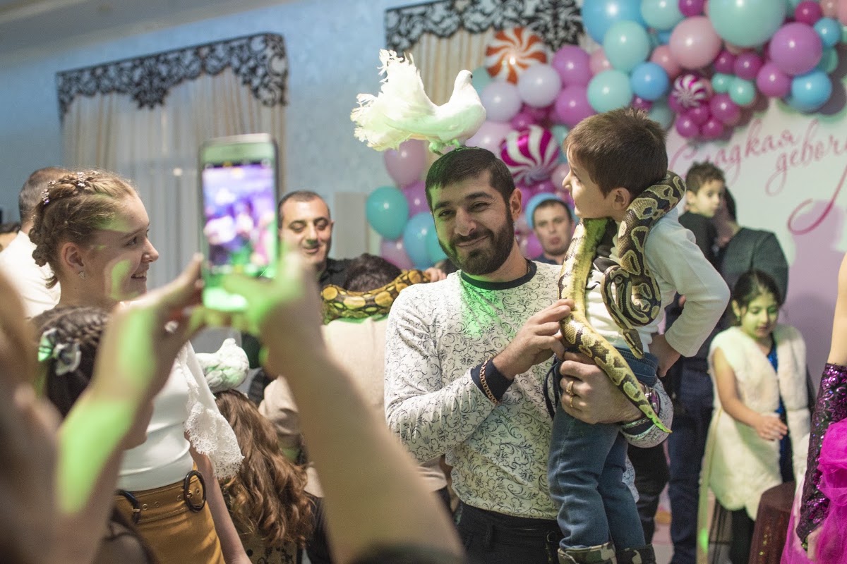 Портфолио: День рождения