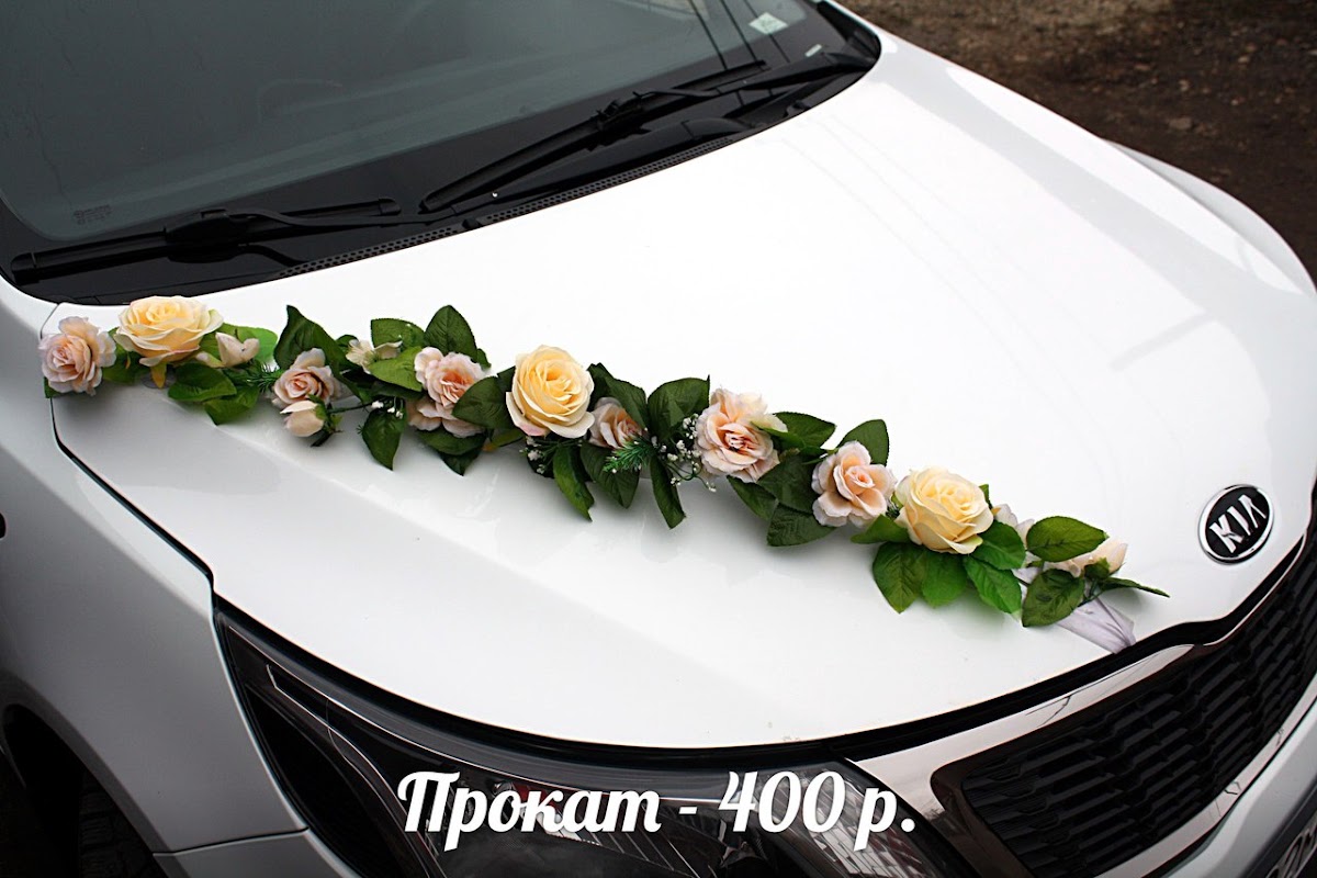 Фотографии