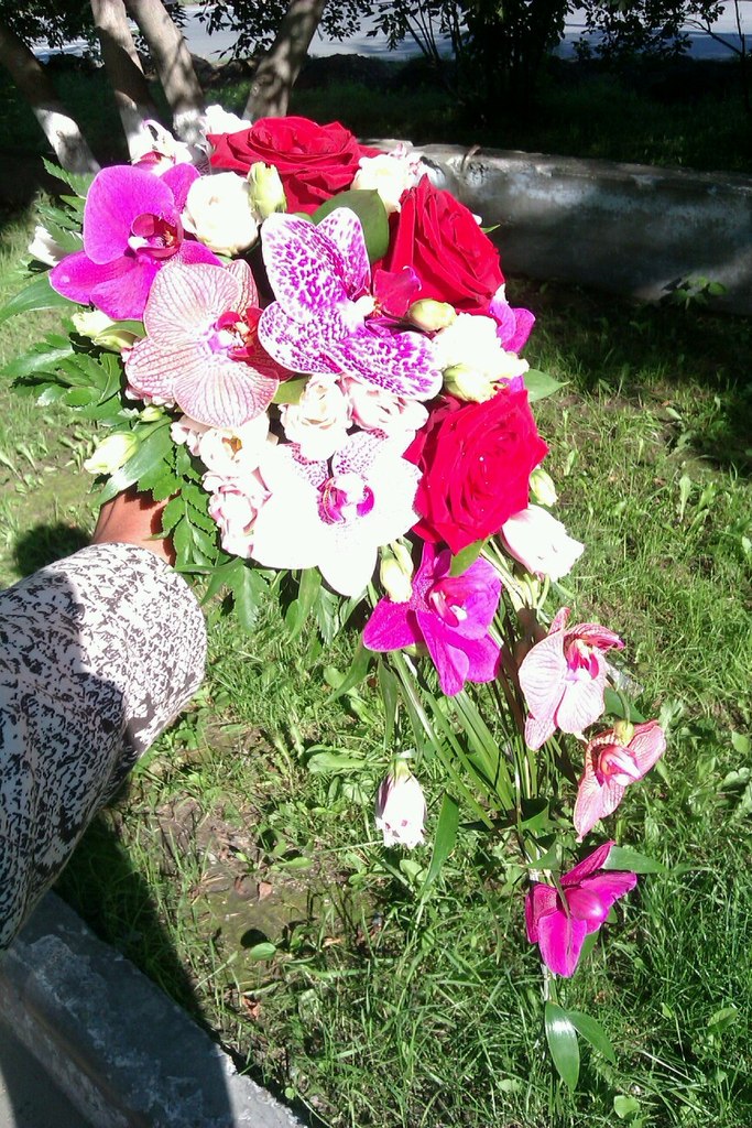 Марина Лоскутова