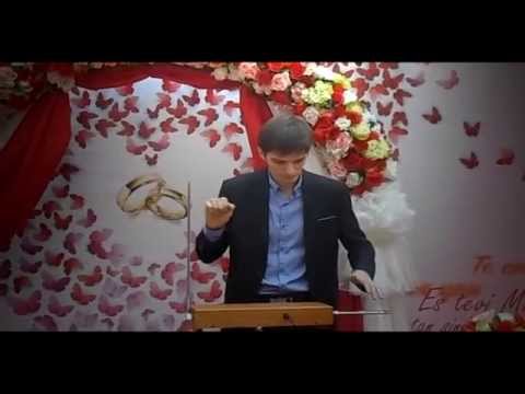 Терменвокс (Theremin)