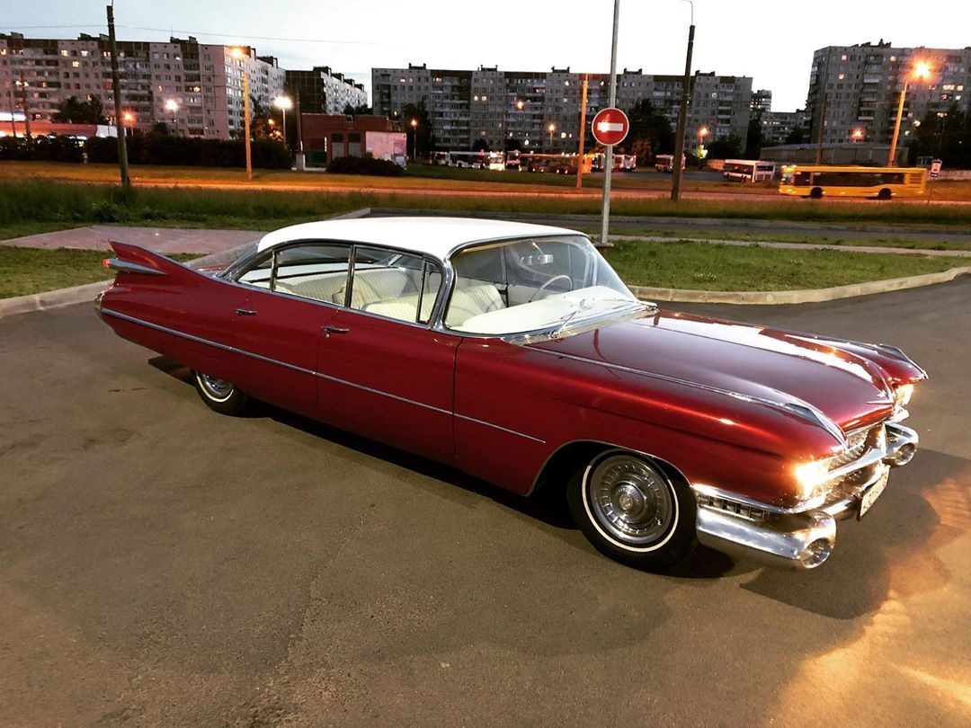 Фотографии