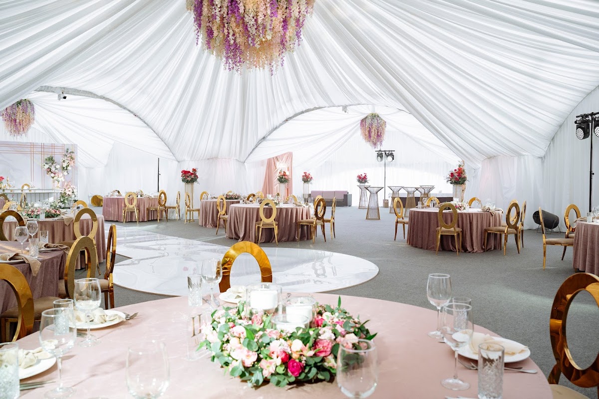 Фотографии