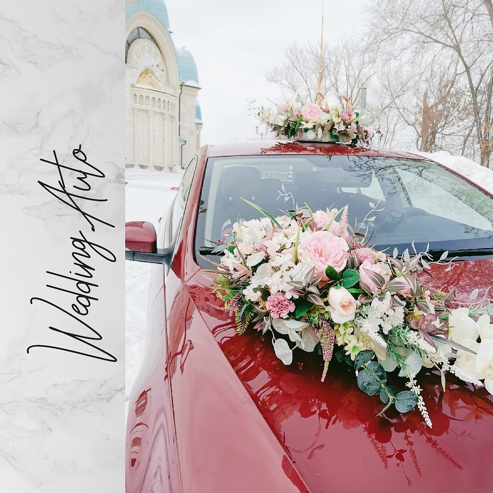 Volkswagen Passat CC / цвет - красный металлик