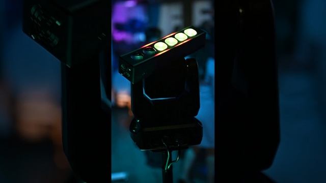 Портфолио: Свадьба