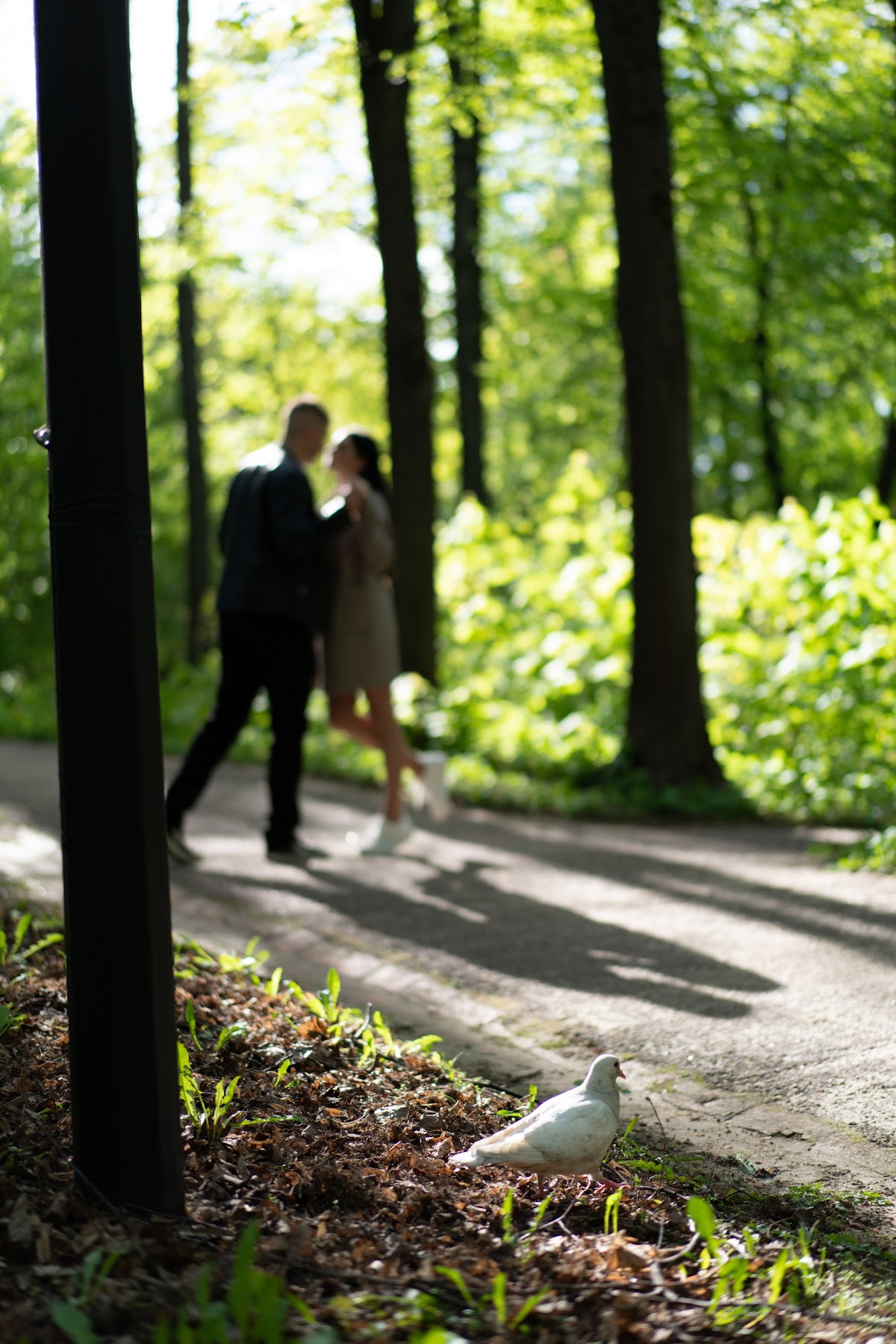 Портфолио: Love story