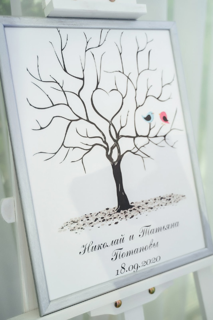 Портфолио