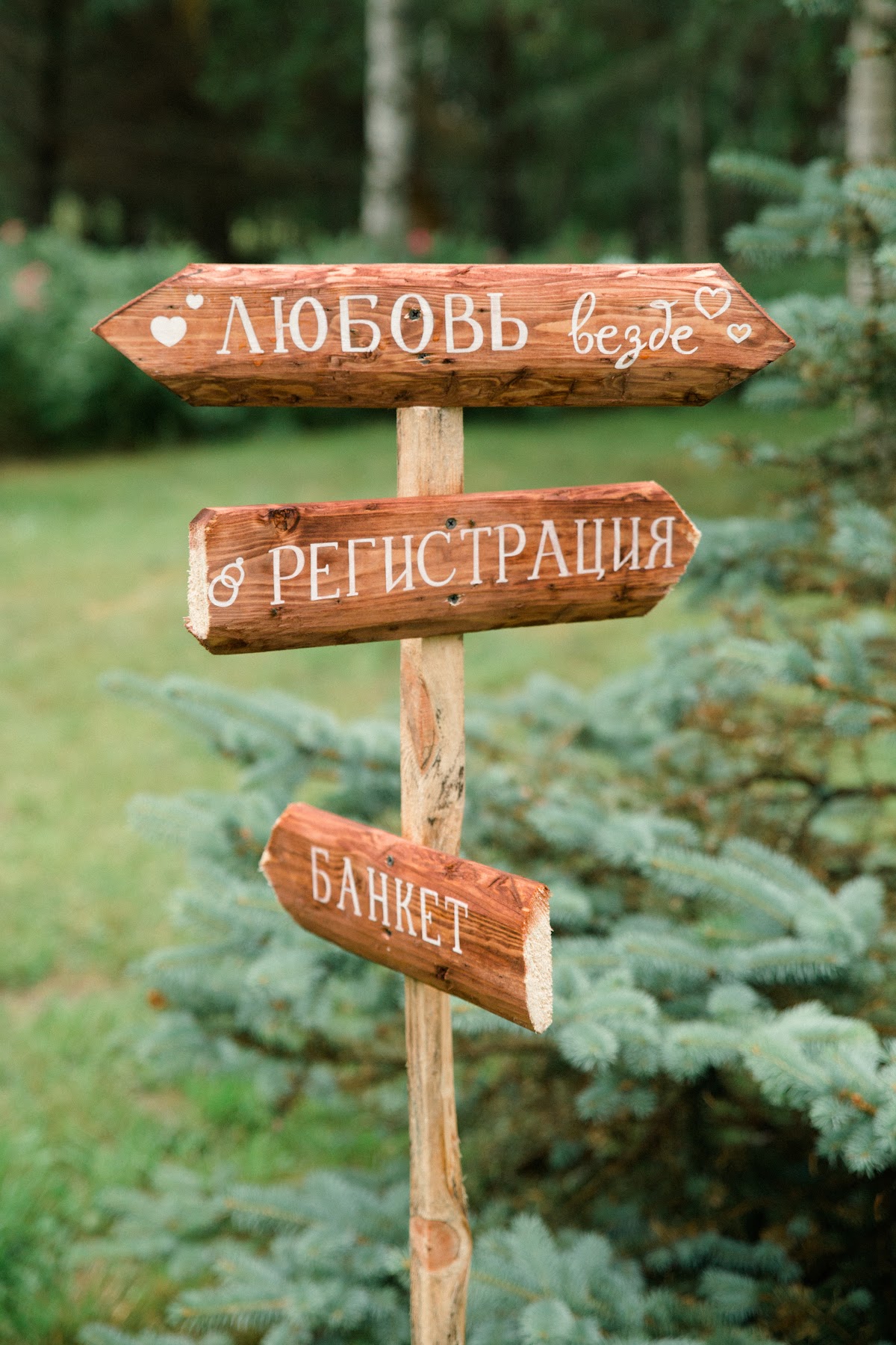 Настя & Андрей