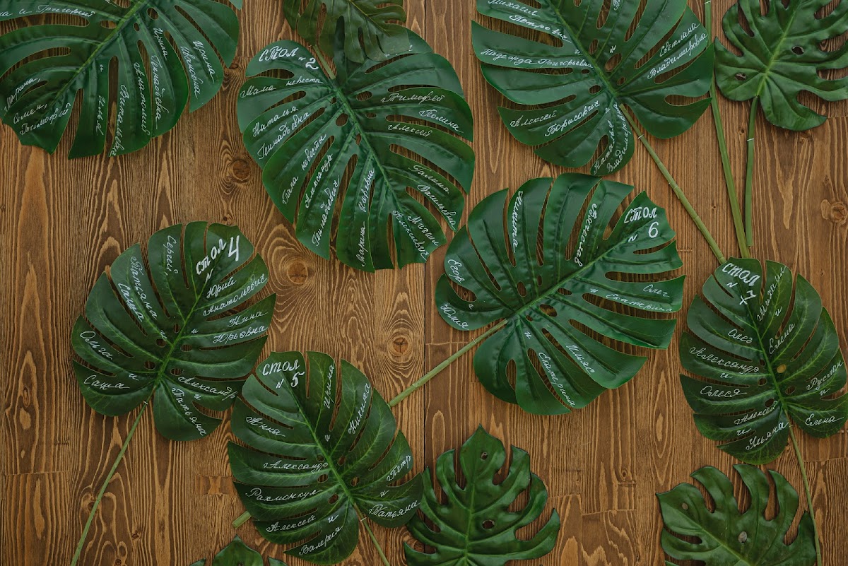 Глеб&Ольга tropical wedding