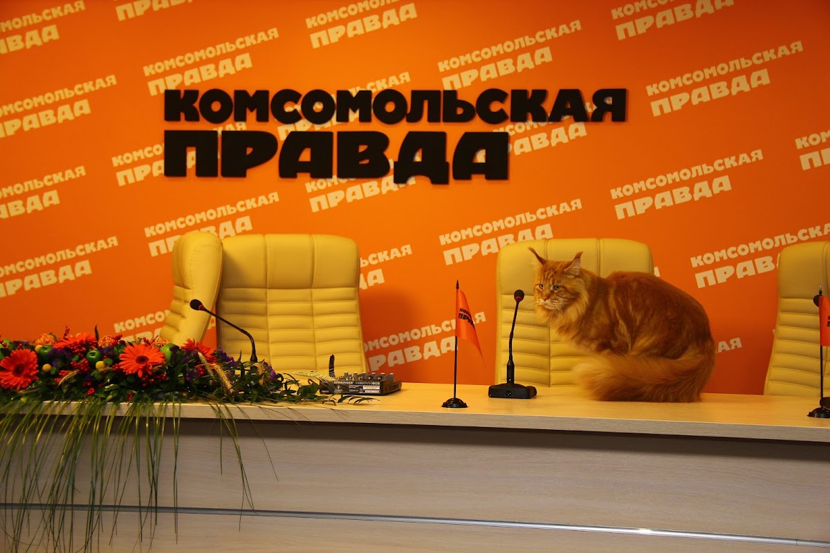 Портфолио: Оформление коммерческих мероприятий